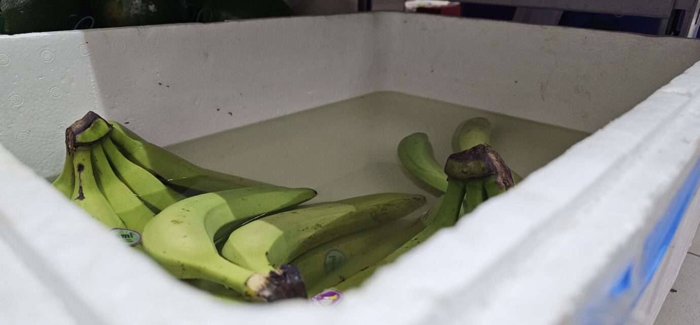 Polystyrenová krabice (EPS) s banány skladovanými ve vodě