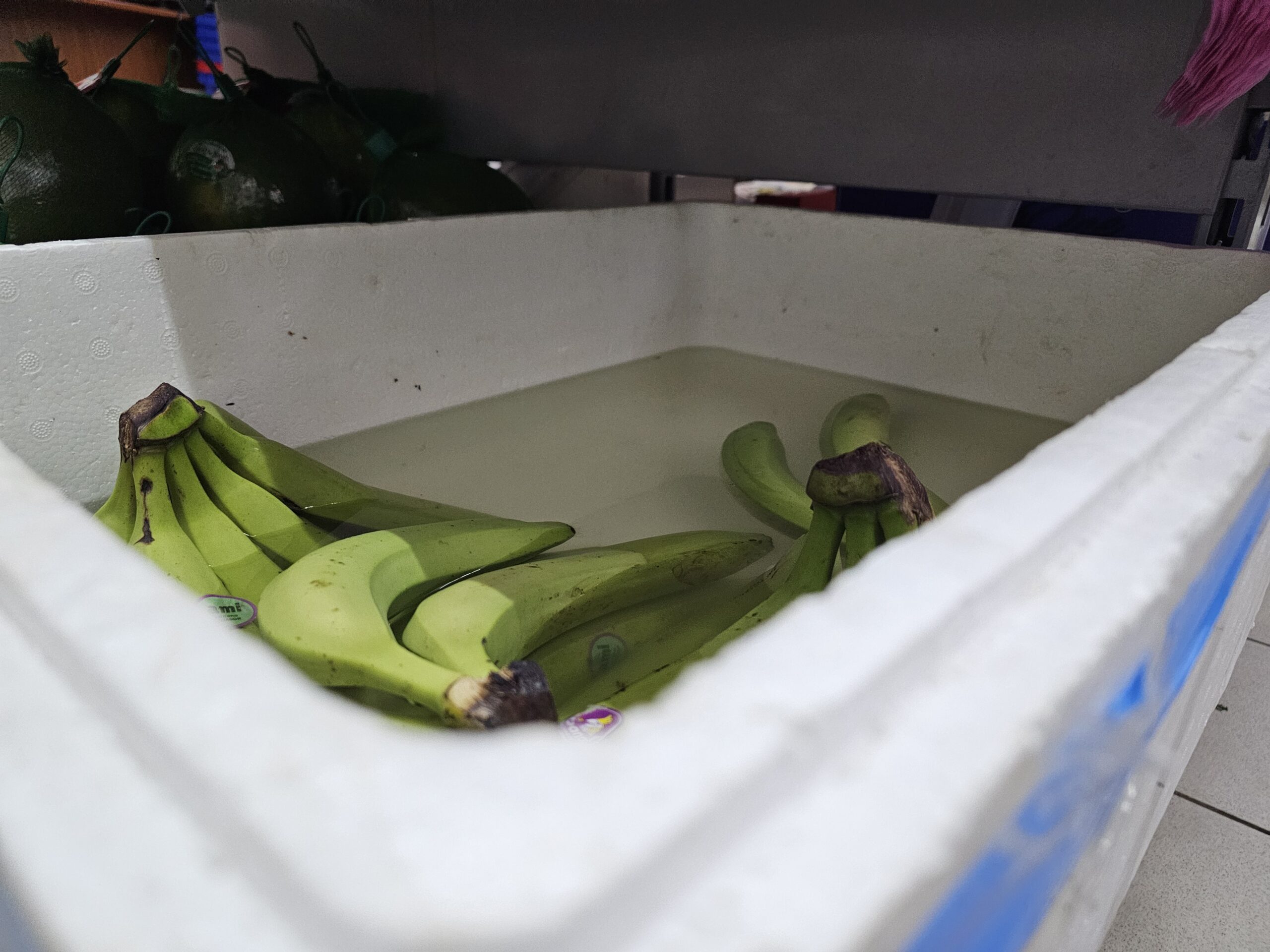 Polystyrenová krabice (EPS) s banány skladovanými ve vodě